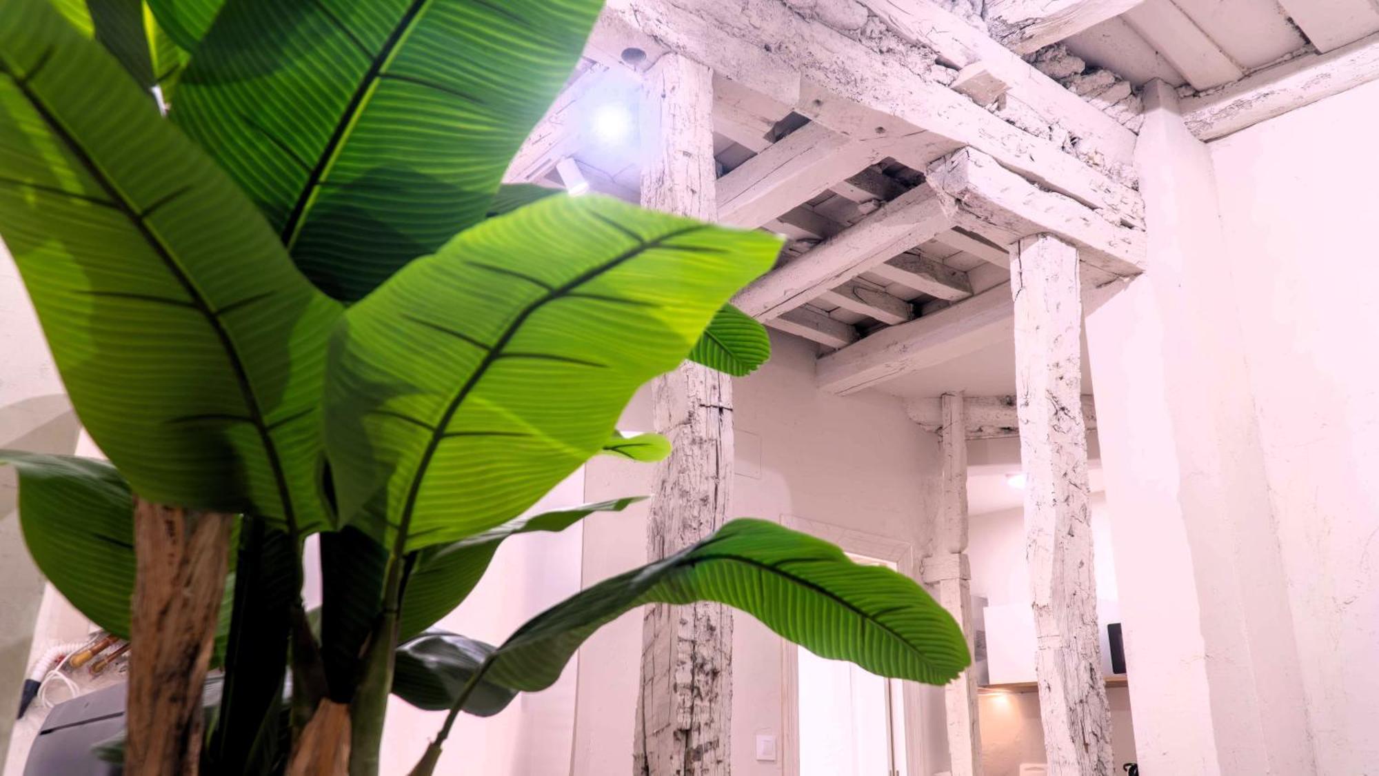 Apartamentos Carolina By Gaiarooms León Eksteriør bilde